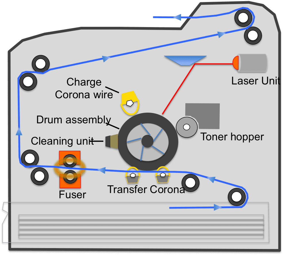 illustration of the internal process of a laser printer