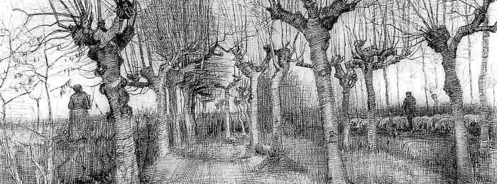 Vincent Van Gogh's pencil shading of a forest full of dead trees