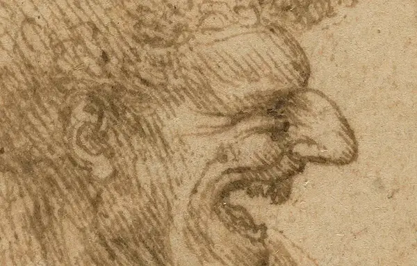 Caricature of a man with Bushy hair by Leonardo Da Vinci using the Hatching technique