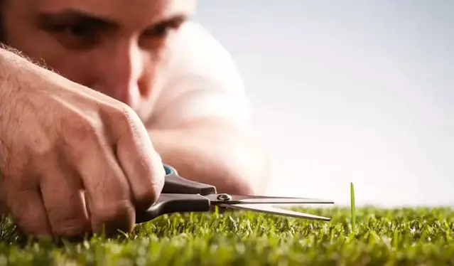 Man cutting one small strand of grass in field
