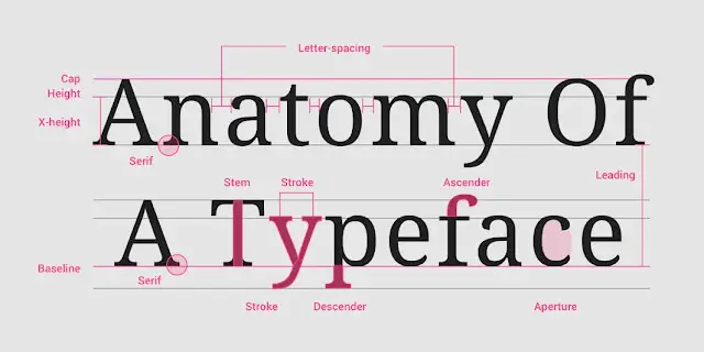 Anatomy of a typeface