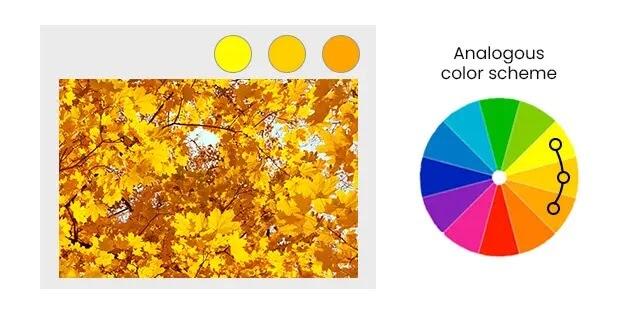 Analogous color scheme represented with color wheel